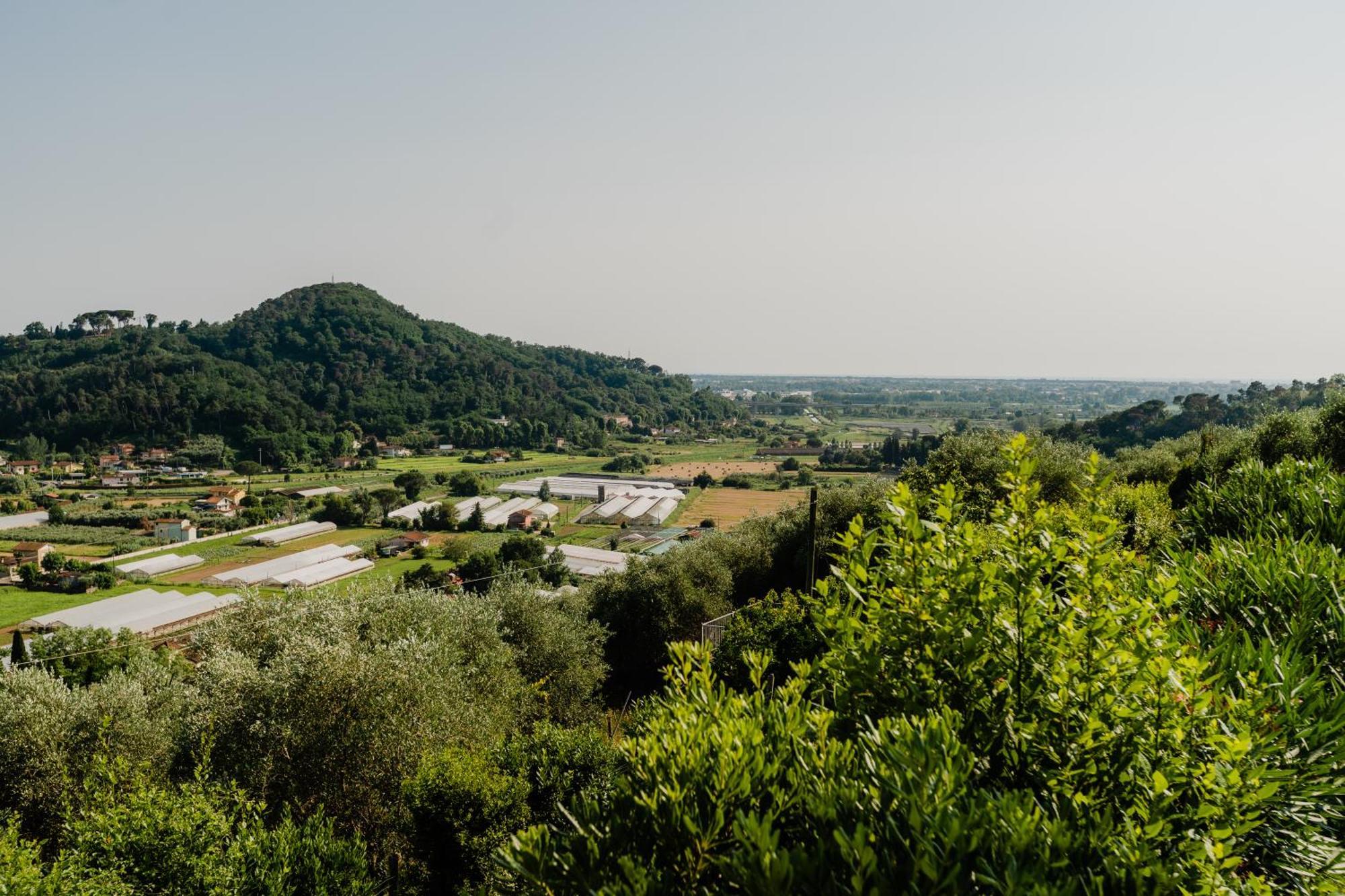 La Tana Del Geco Villa มาสซาโรซา ภายนอก รูปภาพ
